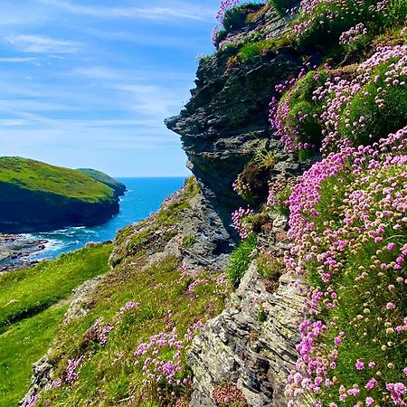 Polrunny Farm Blackberry Cottage - Cornwall Bliss In Sight Of The Sea Boscastle Esterno foto