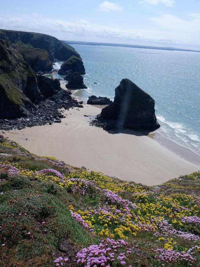 Polrunny Farm Blackberry Cottage - Cornwall Bliss In Sight Of The Sea Boscastle Esterno foto
