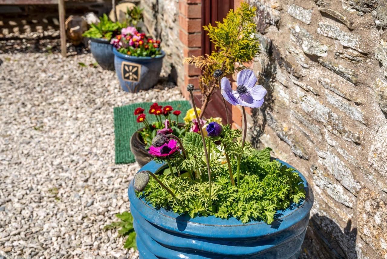 Polrunny Farm Blackberry Cottage - Cornwall Bliss In Sight Of The Sea Boscastle Esterno foto