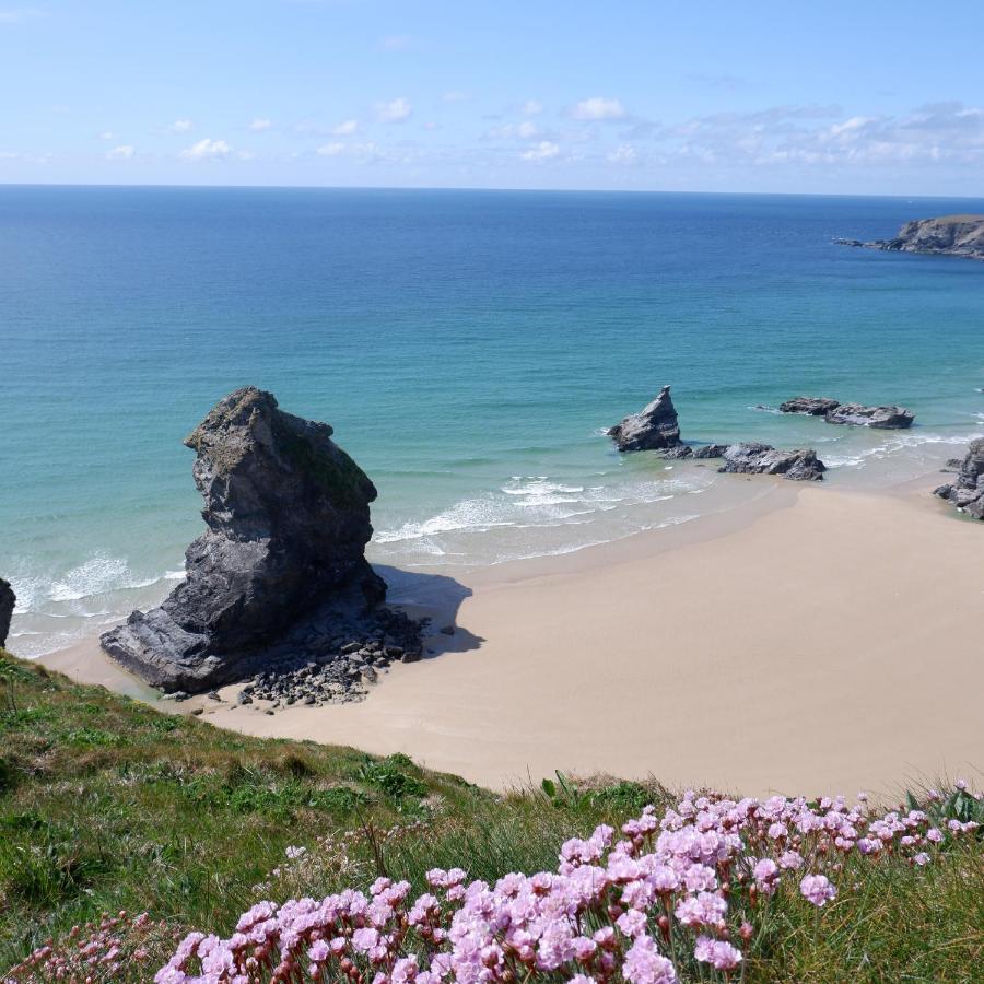 Polrunny Farm Blackberry Cottage - Cornwall Bliss In Sight Of The Sea Boscastle Esterno foto
